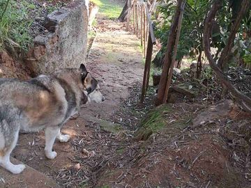 vendo hermosa casa con terreno