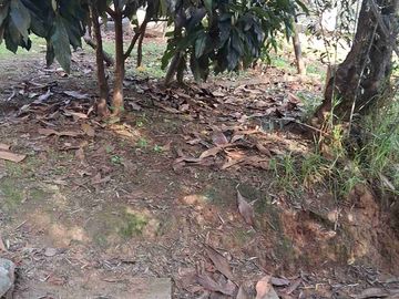 vendo hermosa casa con terreno