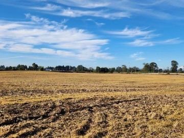 CAMPO COMERCIAL INDUSTRIAL LAUTARO