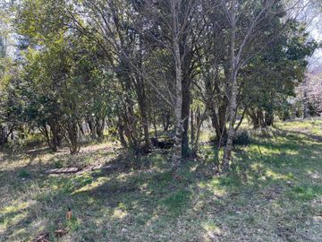 Parcela en venta Pucón, Camino internacional km 4