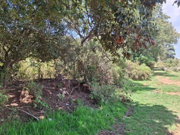 TERRENO EN VILLA VICTORIA