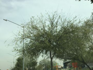 CASA EN VENTA FRACCIONAMIENTO TRIANA APODACA NUEVO LEON  PRIVADA CERCA DE ZONA CENTRO APODACA