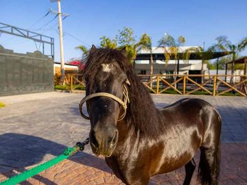 Casa Campestre en Venta