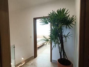 CASA EN ARBOLADA EN OFERTA CON ALBERCA.. NUEVA A ESTRENAR.!!!!