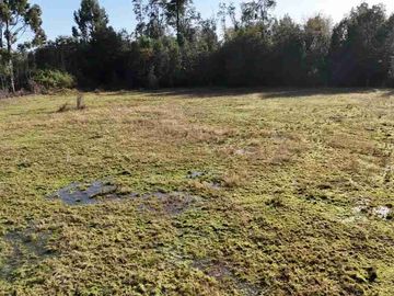 Se vende Parcela, Región de Los Lagos