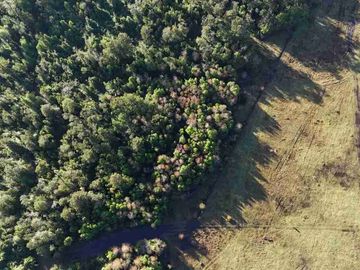 Se vende Parcela, Región de Los Lagos