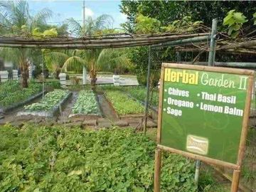 777sqm Farm Lot available for sale at Tanza Cavite