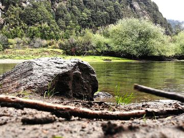 RESERVA PRIVADA ORILLA DE RÍO