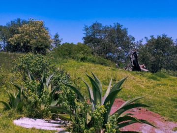 VENTA TERRENO EN CARBONERAS MINERAL DEL CHICO PERFECTO PARA CONSTRUIR TU CASA DE CAMPO  $87 el M2