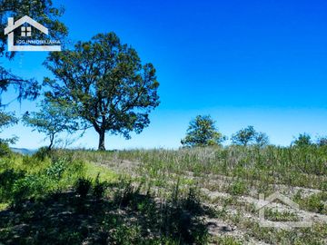 VENTA TERRENO EN CARBONERAS MINERAL DEL CHICO PERFECTO PARA CONSTRUIR TU CASA DE CAMPO  $87 el M2