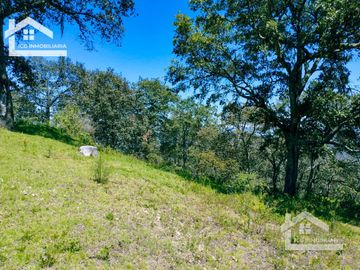 VENTA TERRENO EN CARBONERAS MINERAL DEL CHICO PERFECTO PARA CONSTRUIR TU CASA DE CAMPO  $87 el M2