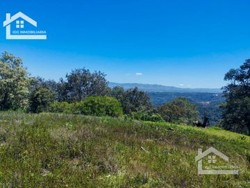 VENTA TERRENO EN CARBONERAS MINERAL DEL CHICO PERFECTO PARA CONSTRUIR TU CASA DE CAMPO  $87 el M2