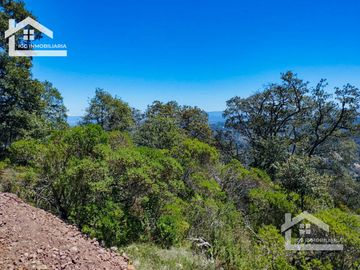 VENTA TERRENO EN CARBONERAS MINERAL DEL CHICO PERFECTO PARA CONSTRUIR TU CASA DE CAMPO  $87 el M2
