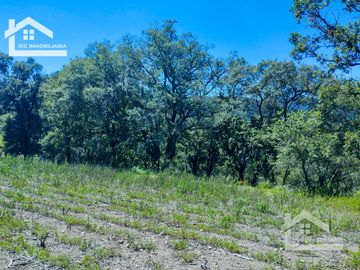 VENTA TERRENO EN CARBONERAS MINERAL DEL CHICO PERFECTO PARA CONSTRUIR TU CASA DE CAMPO  $87 el M2