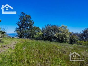 VENTA TERRENO EN CARBONERAS MINERAL DEL CHICO PERFECTO PARA CONSTRUIR TU CASA DE CAMPO  $87 el M2