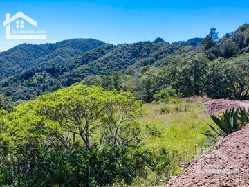 VENTA TERRENO EN CARBONERAS MINERAL DEL CHICO PERFECTO PARA CONSTRUIR TU CASA DE CAMPO  $87 el M2