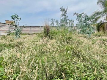 VENTA DE TERRENO BARDADO DE 420 M2 EN SAN CARLOS, YAUTEPEC.