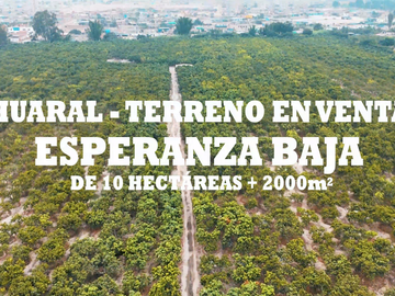 HUARAL-VENTA TERRENO 10 HECTAREAS