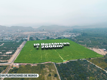 HUARAL-VENTA TERRENO 10 HECTAREAS
