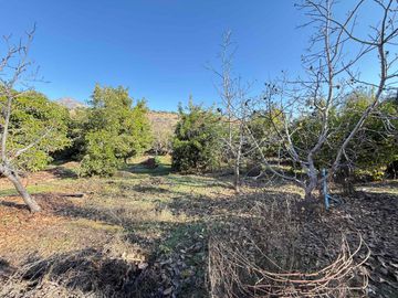 VENTA TERRENO AMPLIO CON CASA Y GALPON