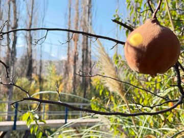VENTA TERRENO AMPLIO CON CASA Y GALPON