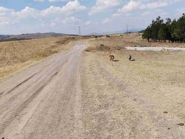 Vendo Terreno de 240 HECTÁREAS con Torres de Alta Tensión y Vías de Ferrocarril.