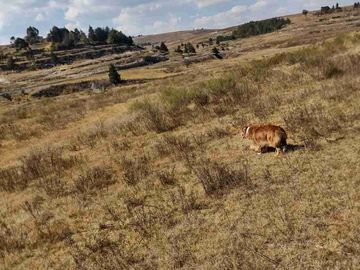Vendo Terreno de 240 HECTÁREAS con Torres de Alta Tensión y Vías de Ferrocarril.