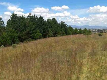 Vendo Terreno de 240 HECTÁREAS con Torres de Alta Tensión y Vías de Ferrocarril.