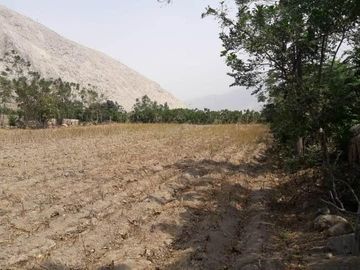 VENTA DE TERRENO, LUNAHUANA, 341 m2