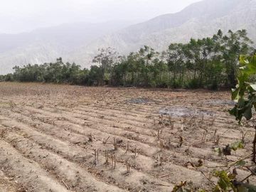VENTA DE TERRENO, LUNAHUANA, 341 m2