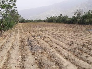 VENTA DE TERRENO, LUNAHUANA, 341 m2