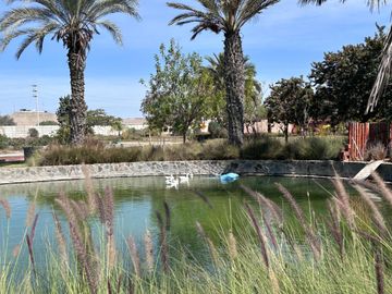 Tu casa de campo en Ica – Terreno de campo en condominio con club house y laguna ICA!