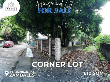 House, Lot, and Income-Generating Apartments in Iba, Zambales