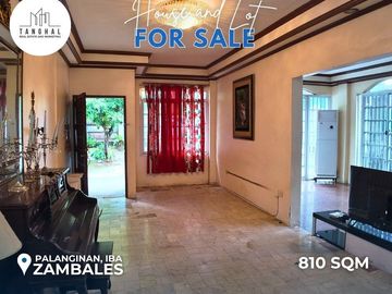 House, Lot, and Income-Generating Apartments in Iba, Zambales