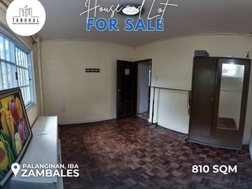 House, Lot, and Income-Generating Apartments in Iba, Zambales