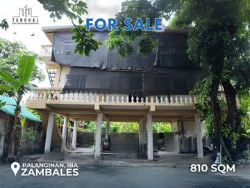 House, Lot, and Income-Generating Apartments in Iba, Zambales