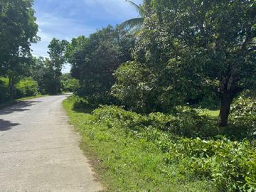 Commercial and Residential lot