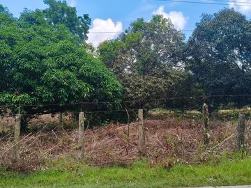 Commercial and Residential lot