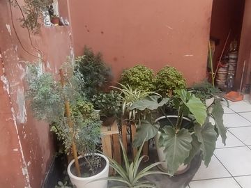 🔥 ¡OPORTUNIDAD ÚNICA! CASA EN STA. ANITA – PRECIO MÁS BAJO DE LA ZONA – DOBLE INGRESO Y FRENTE AL PARQUE!