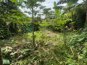 vendo casa campestre en Pereira