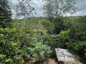 vendo casa campestre en Pereira
