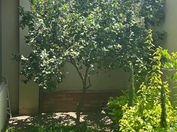 CASA EN VENTA EN GUADALUPE