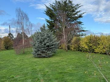 Parcela con Casa de 5D y 4B en Lomas de Pilauco, Osorno – Región de Los Lagos