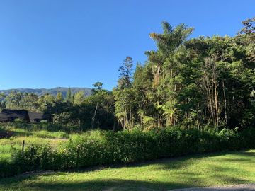 VENDO Casa de campo en venta en Chontabamba, Oxapampa