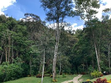 VENDO Casa de campo en venta en Chontabamba, Oxapampa