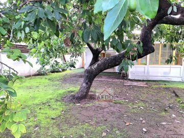 Se Vende Amplia y Linda Casona con gran terreno, muy cercana al centro de la ciudad de Quillota.