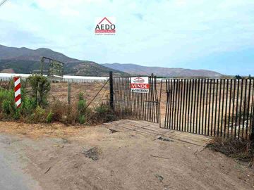 Se Venden Parcelas con rol propio de 5.000 m2 app, Pasaje La Constancia, a la altura paradero 6, San Pedro, comuna de Quillota.