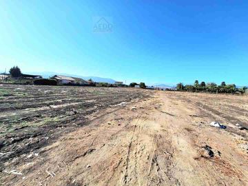 Se Venden Parcelas con rol propio de 5.000 m2 app, Pasaje La Constancia, a la altura paradero 6, San Pedro, comuna de Quillota.