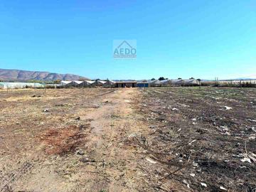 Se Venden Parcelas con rol propio de 5.000 m2 app, Pasaje La Constancia, a la altura paradero 6, San Pedro, comuna de Quillota.