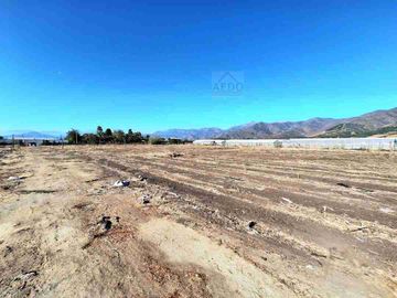 Se Venden Parcelas con rol propio de 5.000 m2 app, Pasaje La Constancia, a la altura paradero 6, San Pedro, comuna de Quillota.